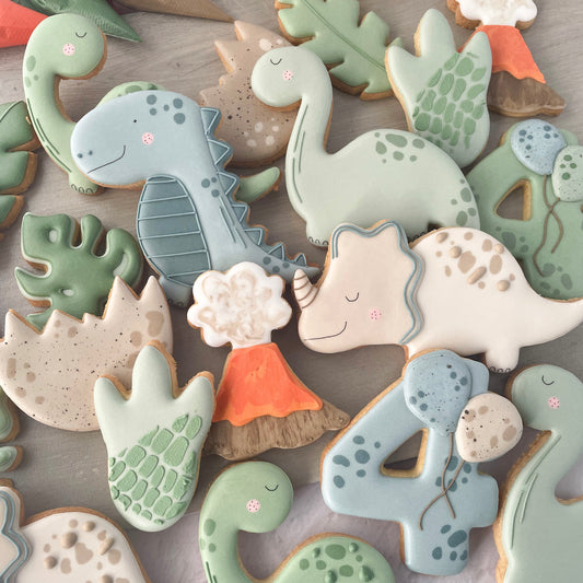 Dinosaur beginners icing class - 31 May 2026